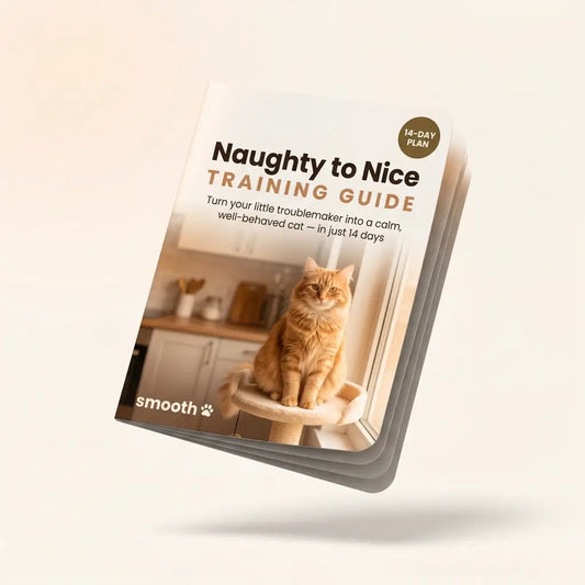 Naughty to Nice: Cat Training Guide