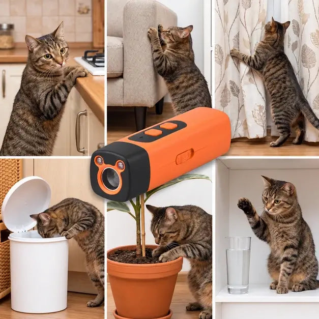 Six cats mid-mischief: counter, couch scratching, curtains, trash, plants, shelf